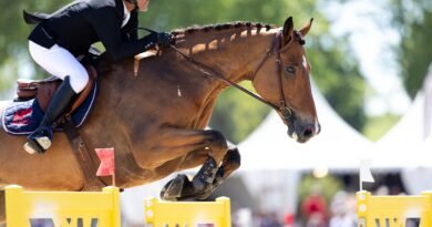 Hold-up de Gregory Cottard dans le GP 4* de Macon-Chaintré